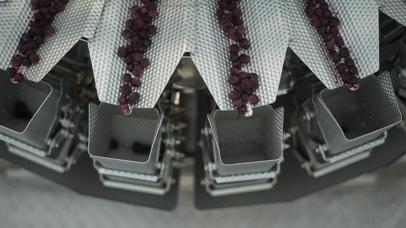 Fruit portioning on the JuiceBox production line